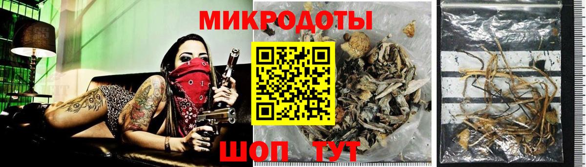 Галлюциногенные грибы Cubensis  Вход с VPN  Галлюциногенные грибы мухоморы  Чусовой 